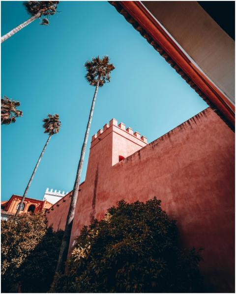 Low angle view of tall palm trees beside Moorish r