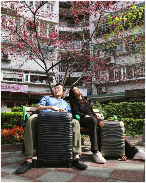 Couple resting with luggage under cherry blossoms