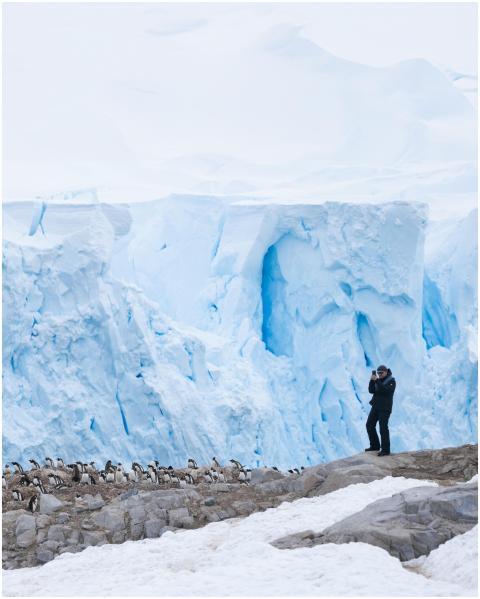 A photographer captures a penguin colony near icy
