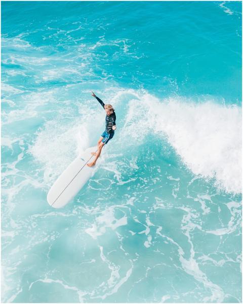 A surfer expertly rides a wave in the vibrant wate