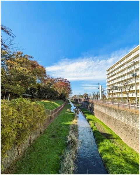 Picturesque canal with autumn foliage and building