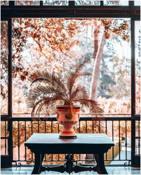 Elegant balcony view with Alcázar vase and plants