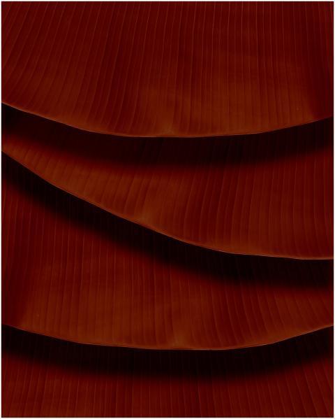 Minimalist close-up of layered terracotta orange s