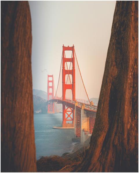 Golden Gate Bridge uniquely framed by trees at sun