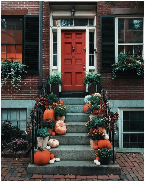Festive autumn decorations with pumpkins and green