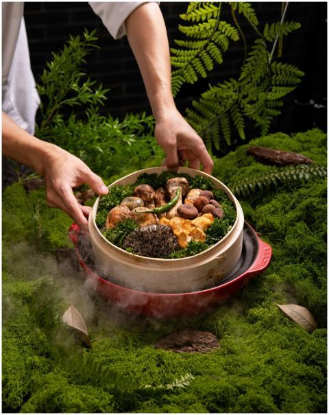 Gourmet dish of assorted mushrooms and greens in a