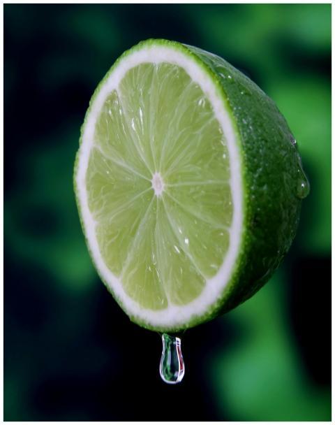 Macro shot of a juicy, fresh lime slice with a wat