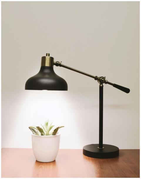 Minimalistic desk lamp illuminating a succulent on