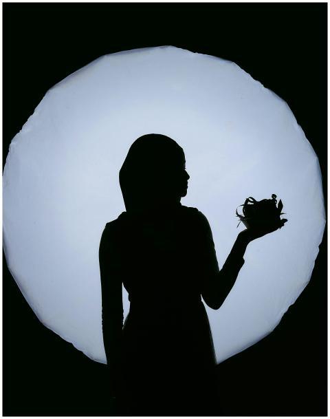 Silhouette Woman Holding Plant