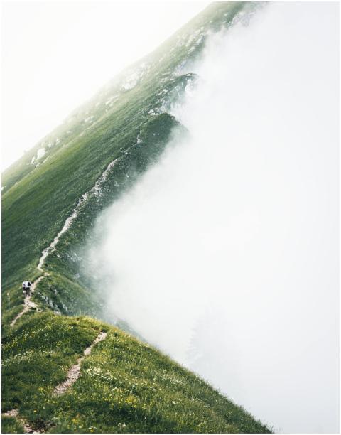 A solitary path winding through a misty mountain l