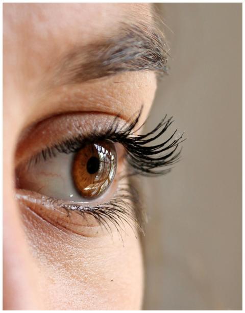 Detailed photo showing a brown eye with long eyela
