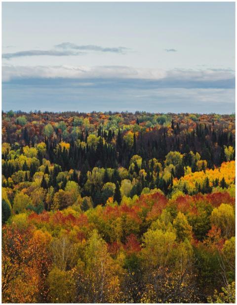 Stunning aerial shot capturing the vivid colors of