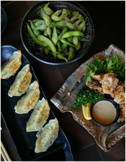 Top view of Japanese cuisine with dumplings, fried