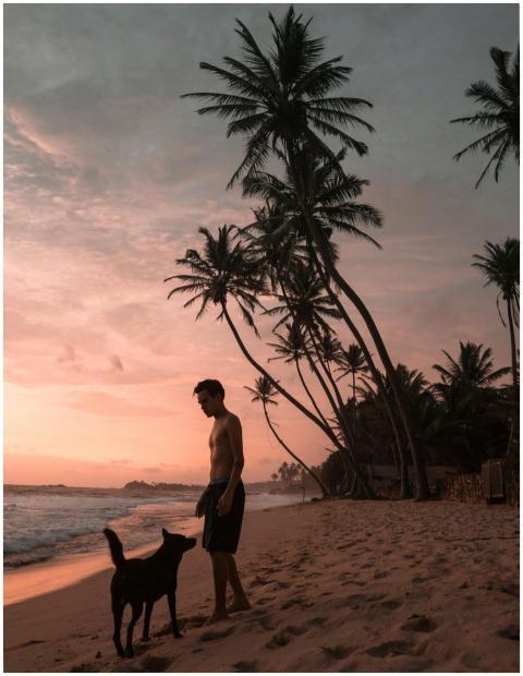 A person with a dog standing on a sandy Sri Lankan