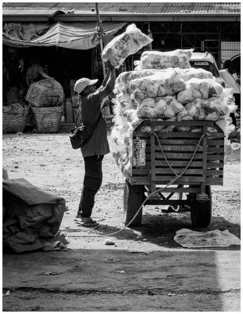 Worker Loading Cart Outdoor