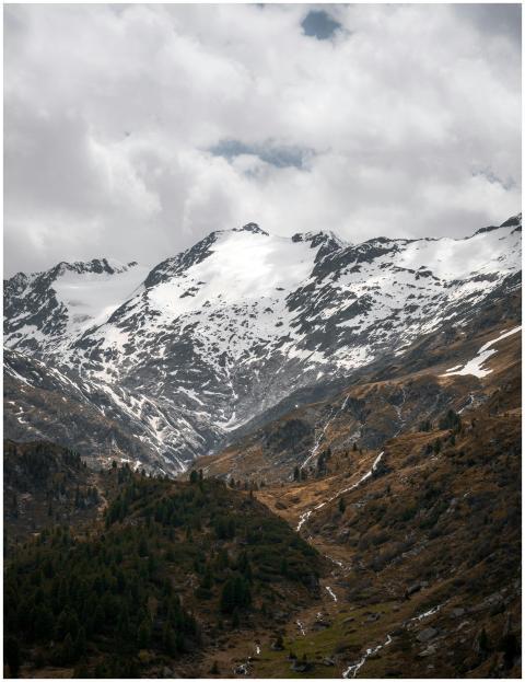 Stunning view of snowy mountains and forests in Ti