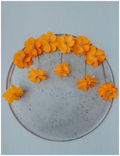 A creative display of orange flowers artistically