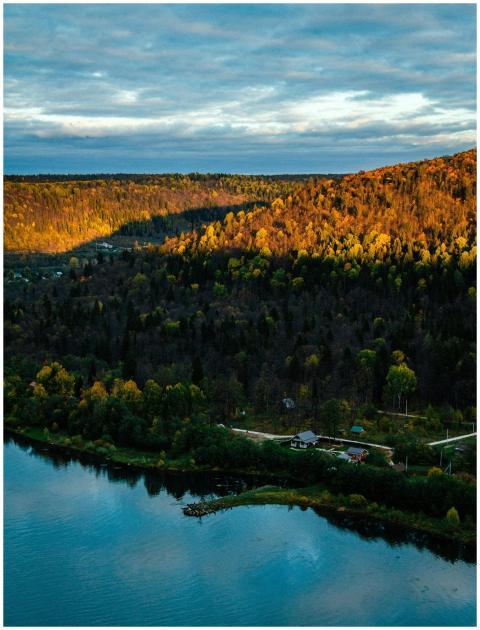 Capture the breathtaking aerial view of a forest a