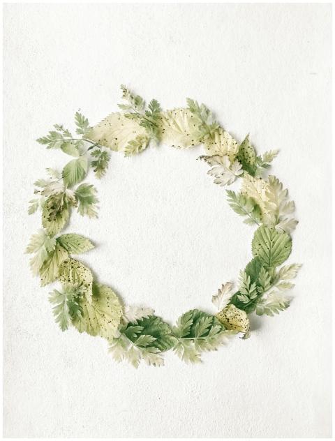 Minimalist flat lay of green leaf wreath on a text