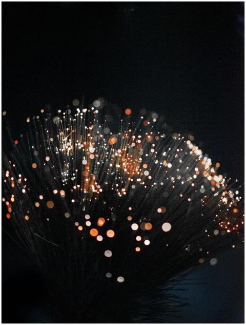 An artistic shot of fiber optic lights on a dark b