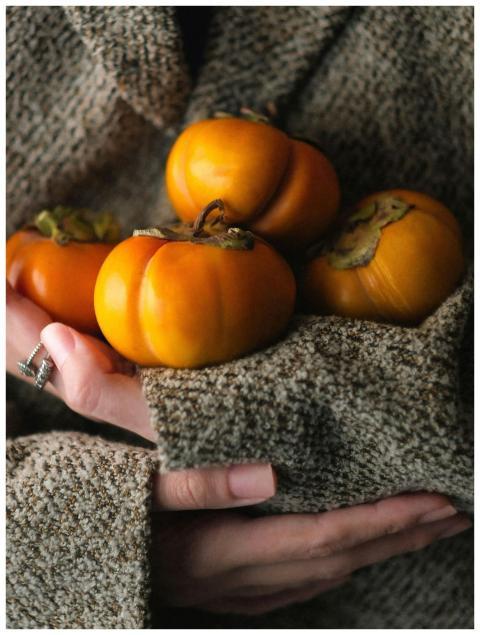 A close-up of ripe persimmons held in hands wrappe