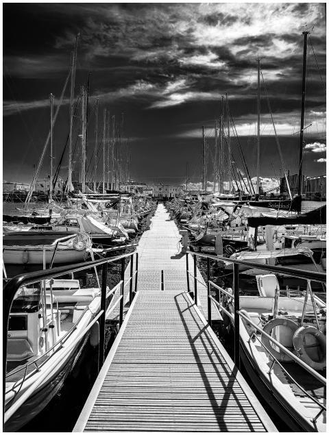 Dramatic black and white photo of a marina with sa