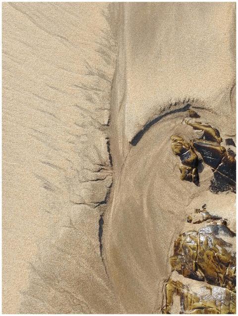 As the tide recedes, wondrous sandy deposits emerg