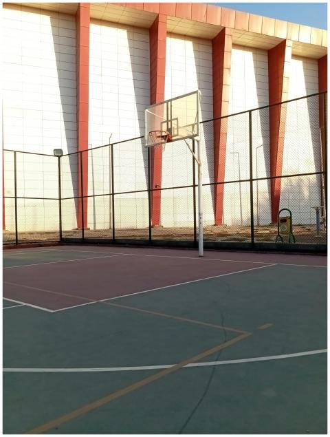 Sunny outdoor basketball court with modern design