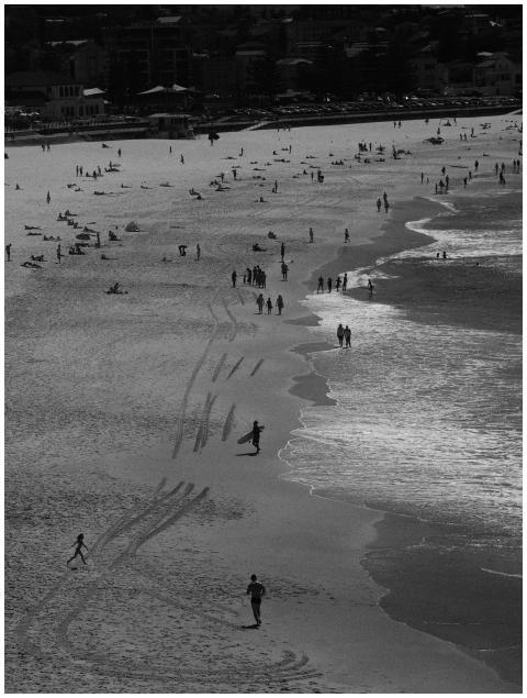 A black and white scenic view capturing Bondi Beac