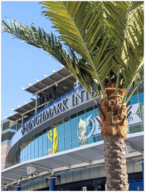 Modern Palm Tree Building