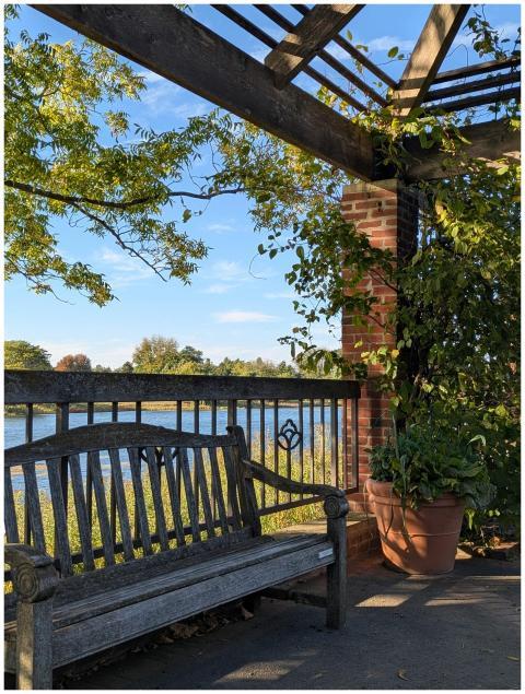 Peaceful riverside view with a wooden bench under