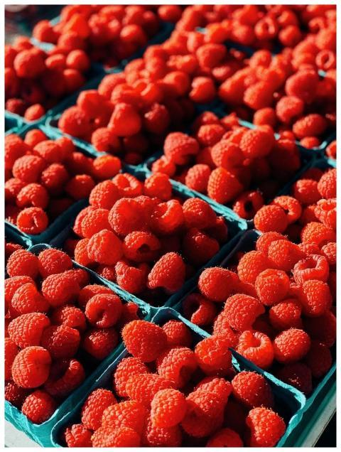 Bright and juicy fresh raspberries on display at a