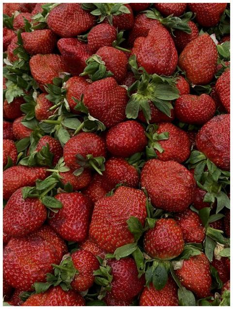 A vibrant pile of fresh, red strawberries with gre