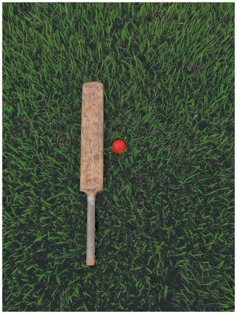 A cricket bat and ball placed on a grassy field vi