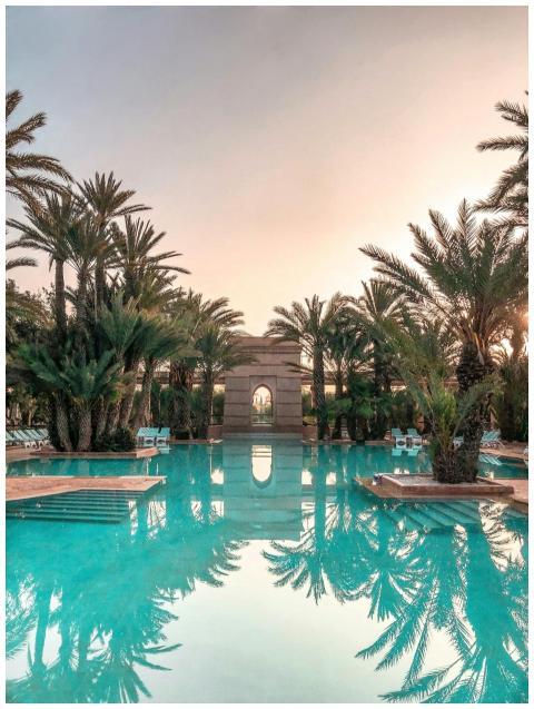 Idyllic tropical resort pool with palm trees refle