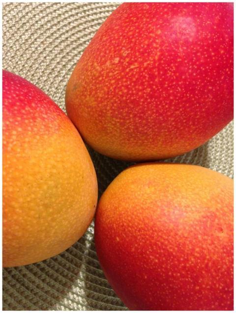 Close-up shot of vibrant, ripe mangoes showcasing