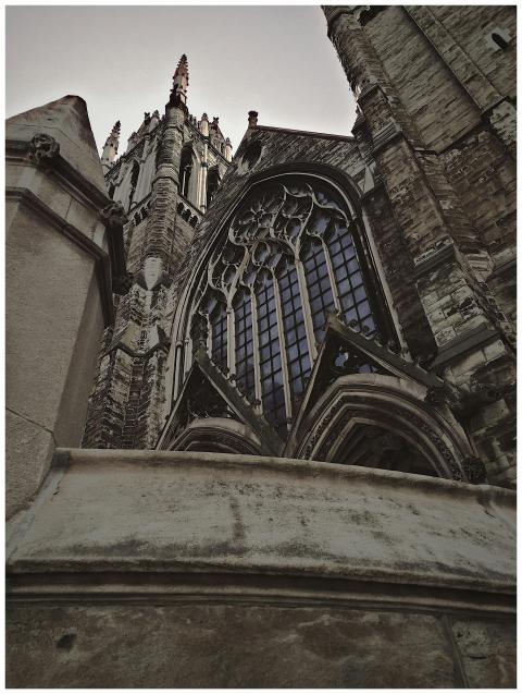 A majestic view of gothic architectural detail, sh