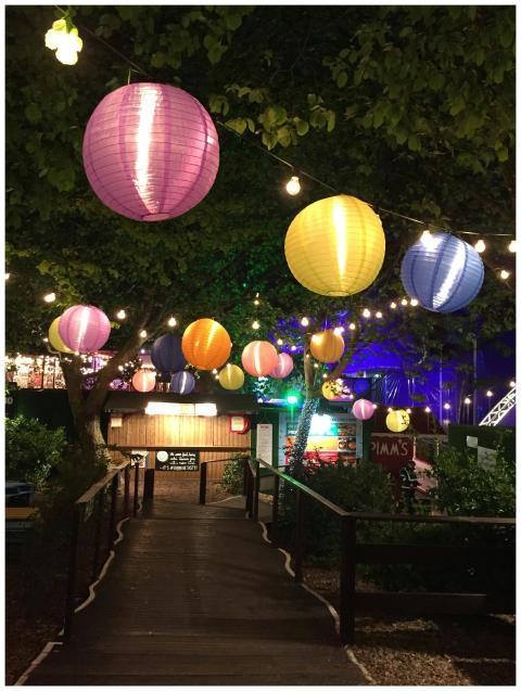 Vibrant paper lanterns hanging over a garden path