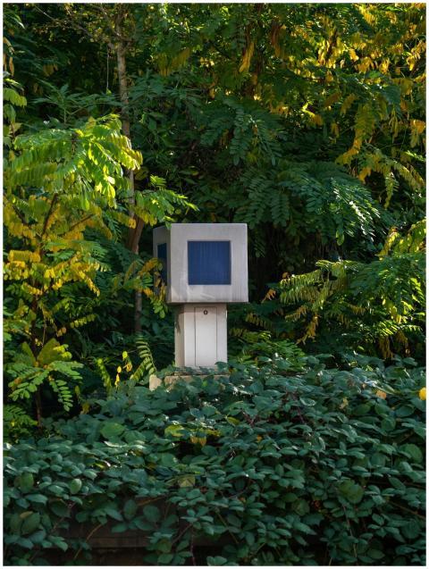 Security Camera Amidst Dense