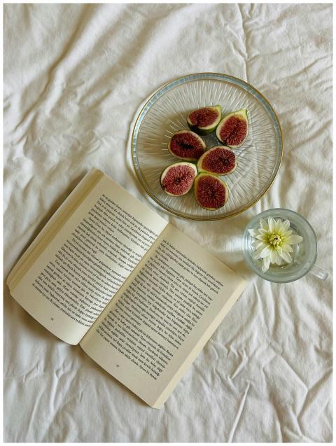 Inviting still life with open book, fresh figs, an