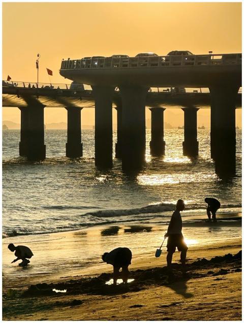 Silhouetted figures on a beach at sunset by a brid