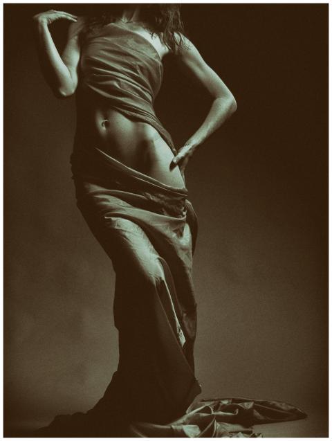 Artistic portrait of a female figure draped in clo