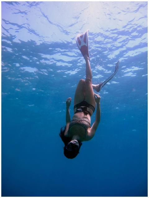 Graceful woman freediving underwater, surrounded b