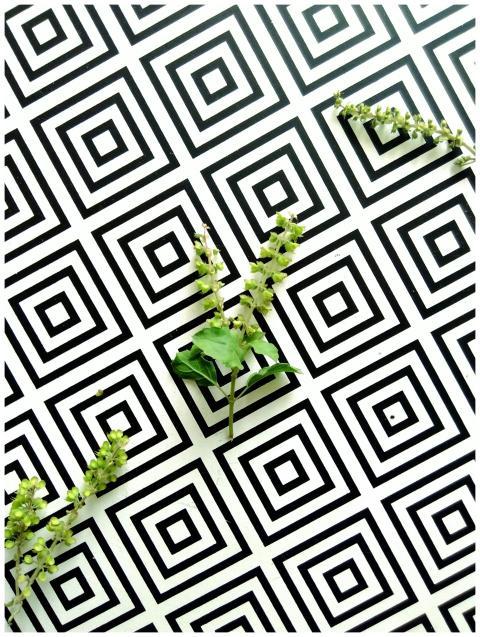 Minimalist design with fresh leaves on a geometric