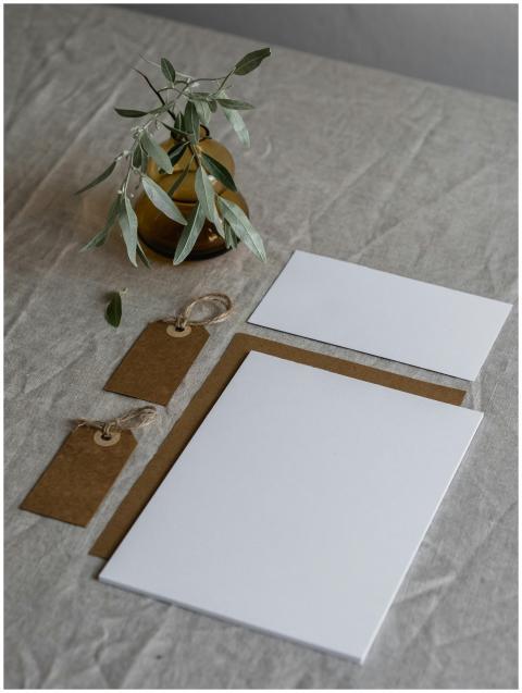 Elegant photo of blank stationery and olive branch
