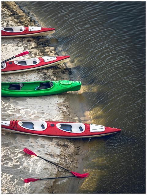 Free stock photo of canon