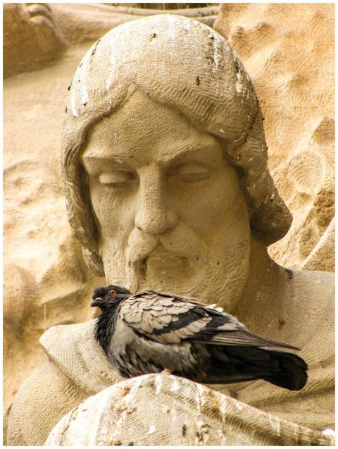 Free stock photo of ancient, architecture, barcelo