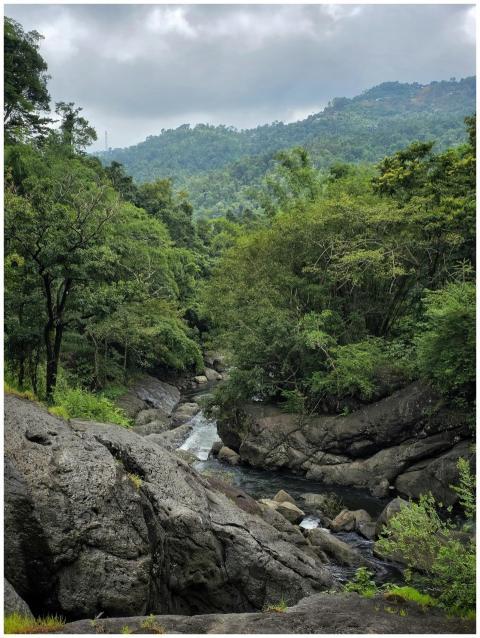 Flow of Serenity Through Green