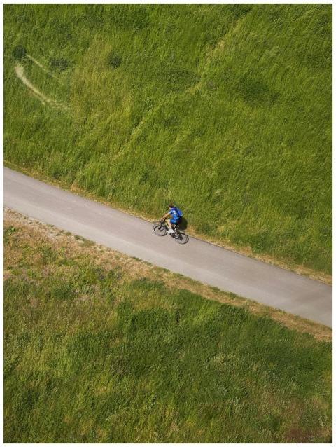 Cyclist rides alone on a serene path surrounded by