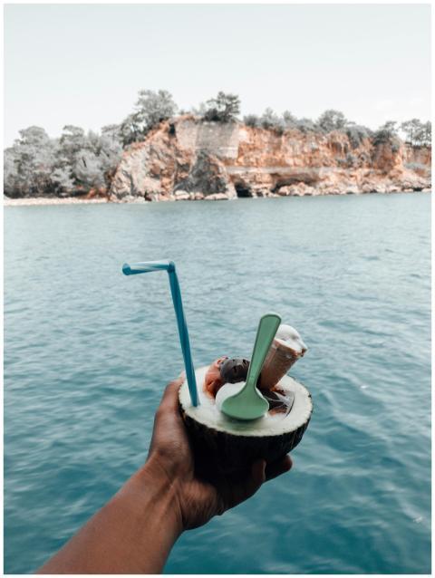 Hand holding a coconut ice cream against a scenic